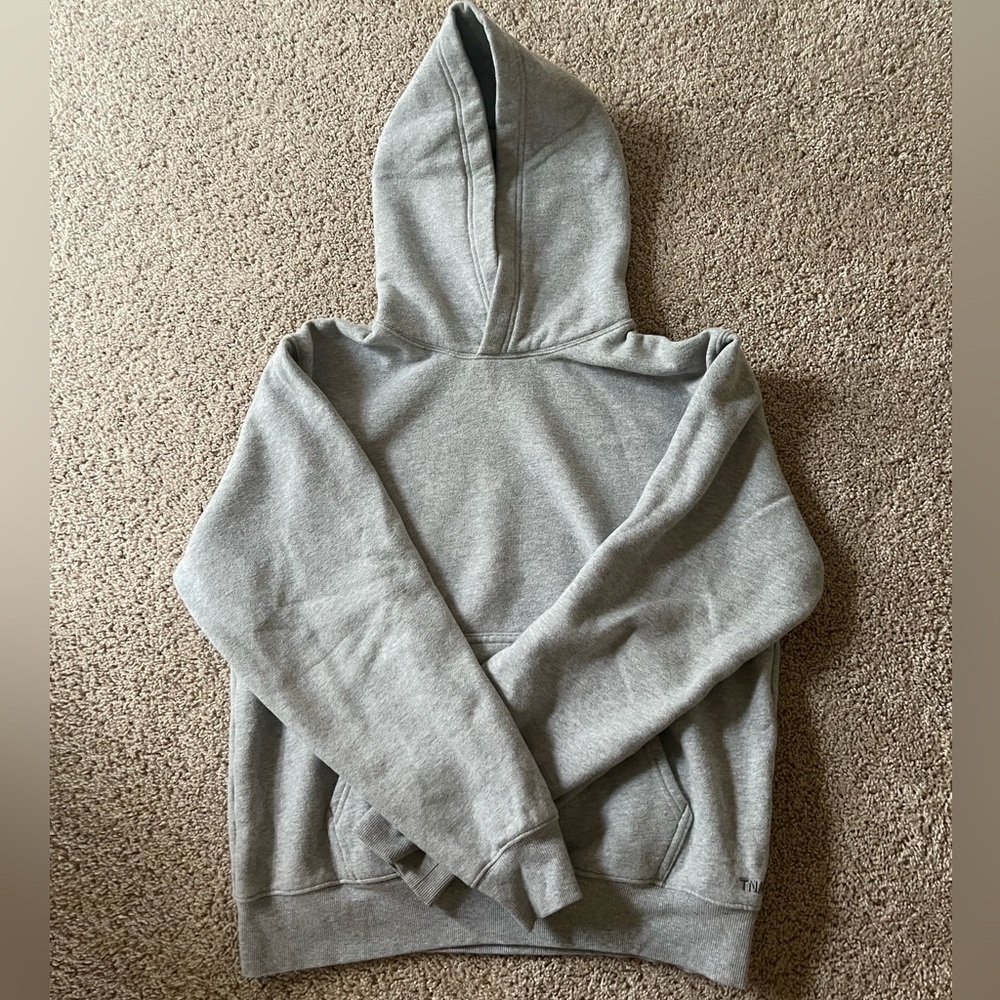 Aritzia Hoodie
